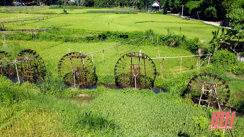 Guồng nước - một nét văn hóa miền Tây xứ Thanh