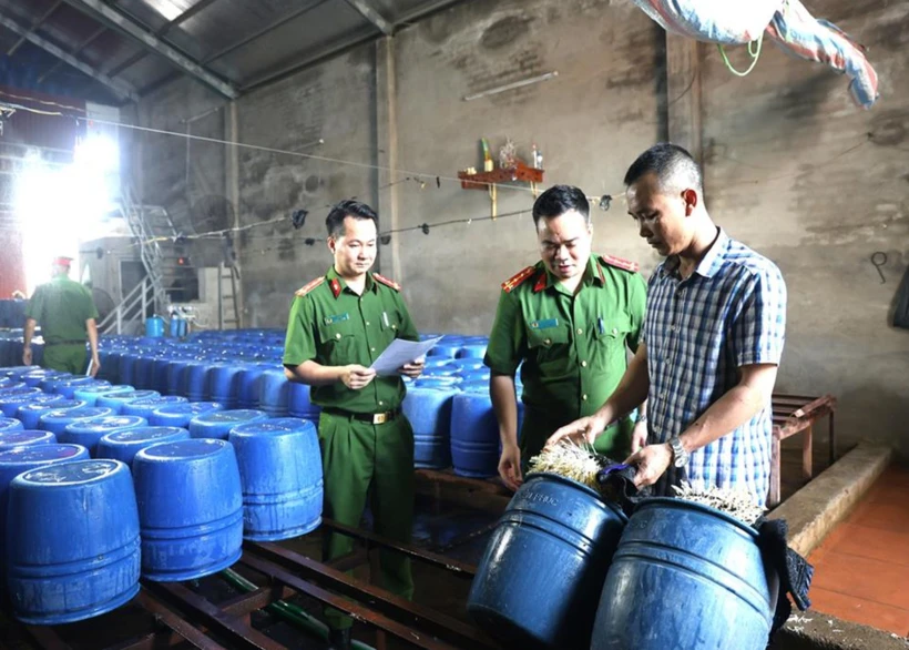 Khởi tố đối tượng sản xuất giá đỗ “ngậm” thuốc kích thích tăng trưởng