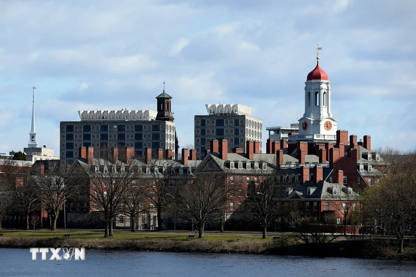Havard sẽ về đâu giữa cơn lốc “MAGA” của Tổng thống Donald Trump?