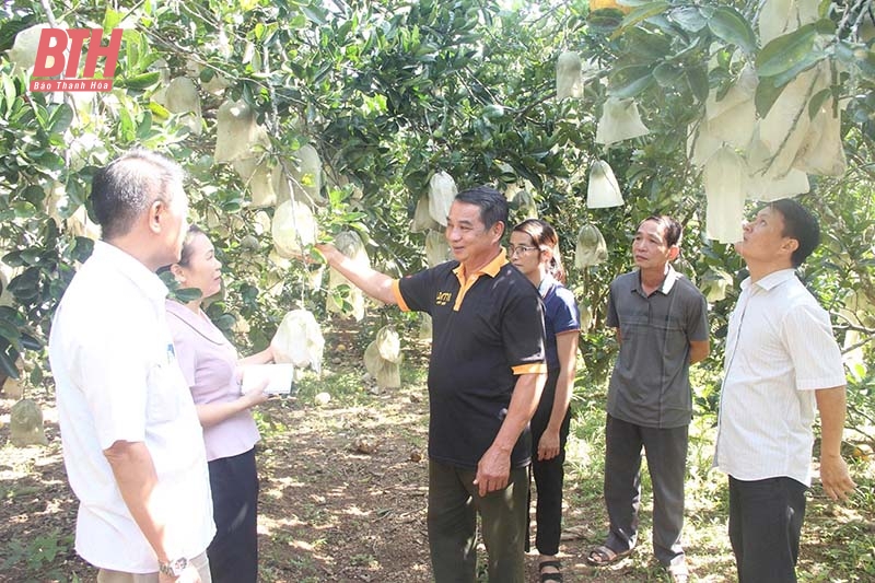 m88 link mới nhất “kỹ sư” chân đất