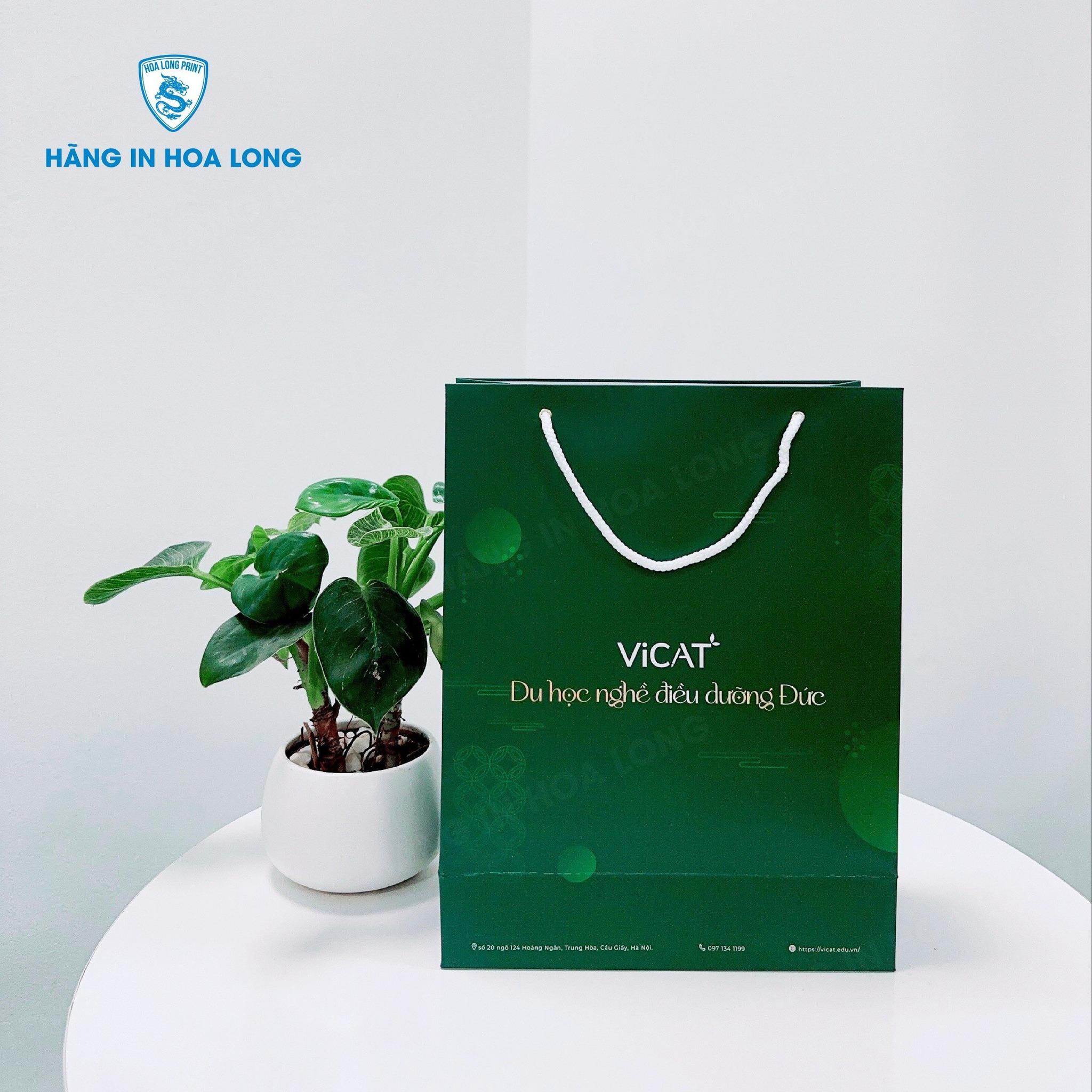 Xưởng in túi giấy giá tốt – Chuyên nghiệp, mẫu đẹp, chất liệu đa dạng