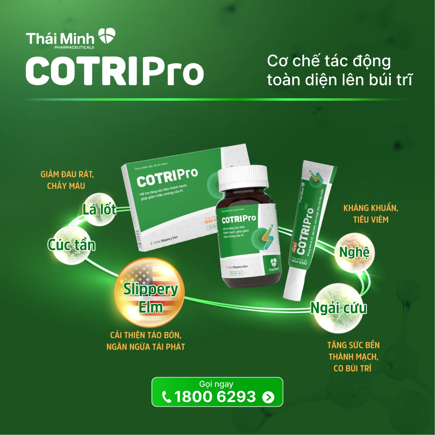 COTRIPro Thái Minh - Giải pháp hỗ trợ điều trị bệnh trĩ hiệu quả