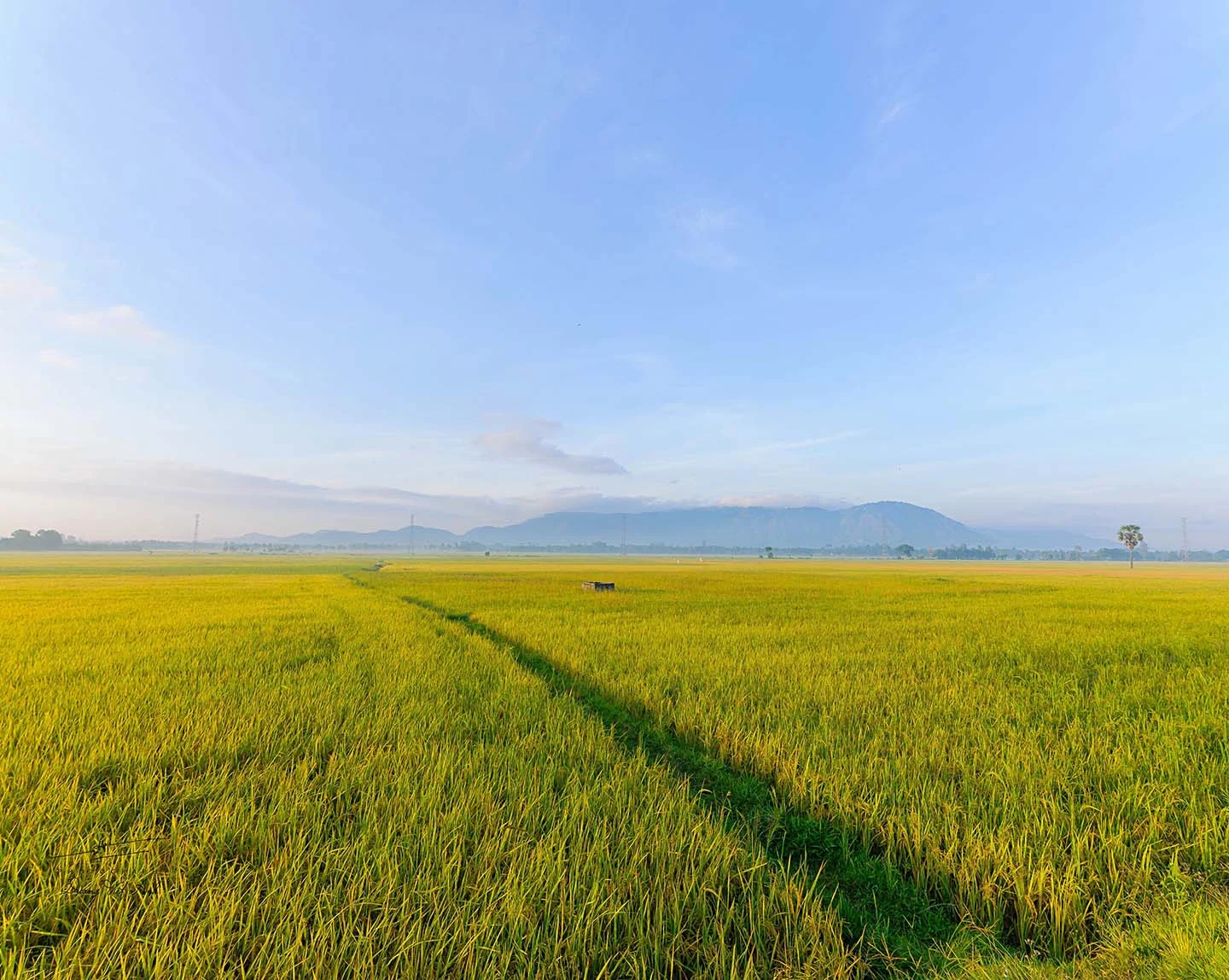 [E-magazine]: Khúc ru mùa