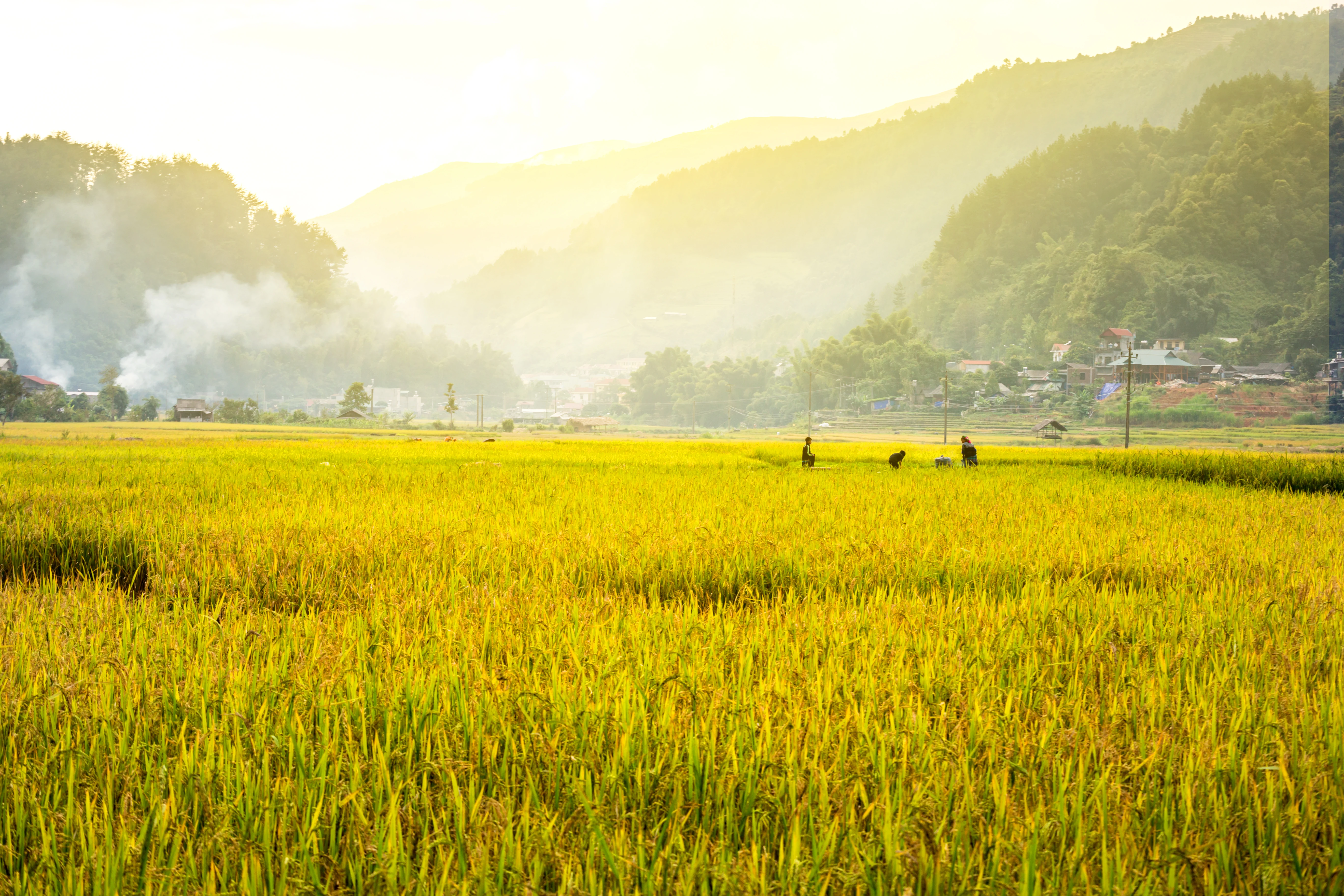 [E-magazine]: Khúc ru mùa