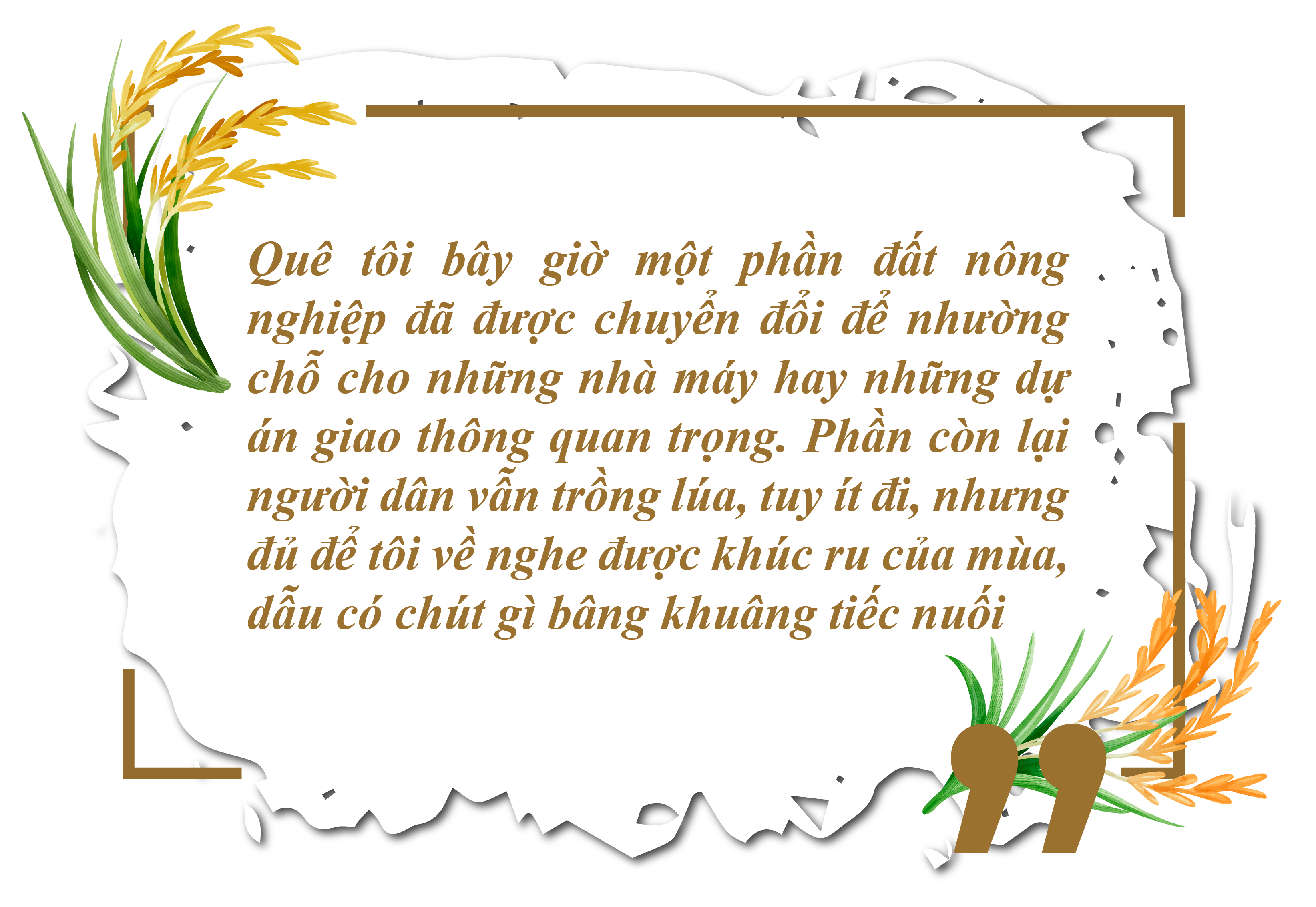 [E-magazin]: Khúc ru mùa