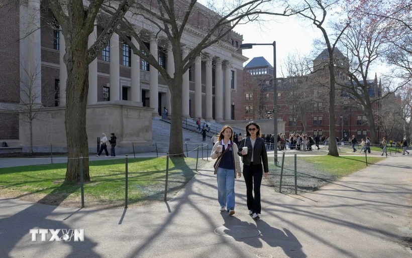 Ông Trump xem xét chuyển 3 tỷ USD từ Harvard sang dạy nghề