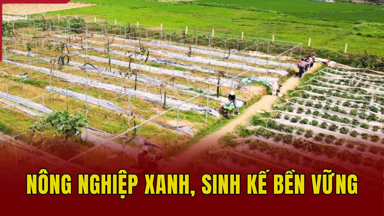 Nông nghiệp xanh, sinh kế bền vững
