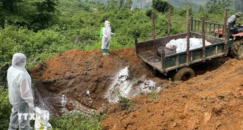 Hỗ trợ từ 10-55.000/kg, 9-50 triệu đồng/ha khi tiêu hủy gia súc, gia cầm, tôm, cá vì dịch bệnh