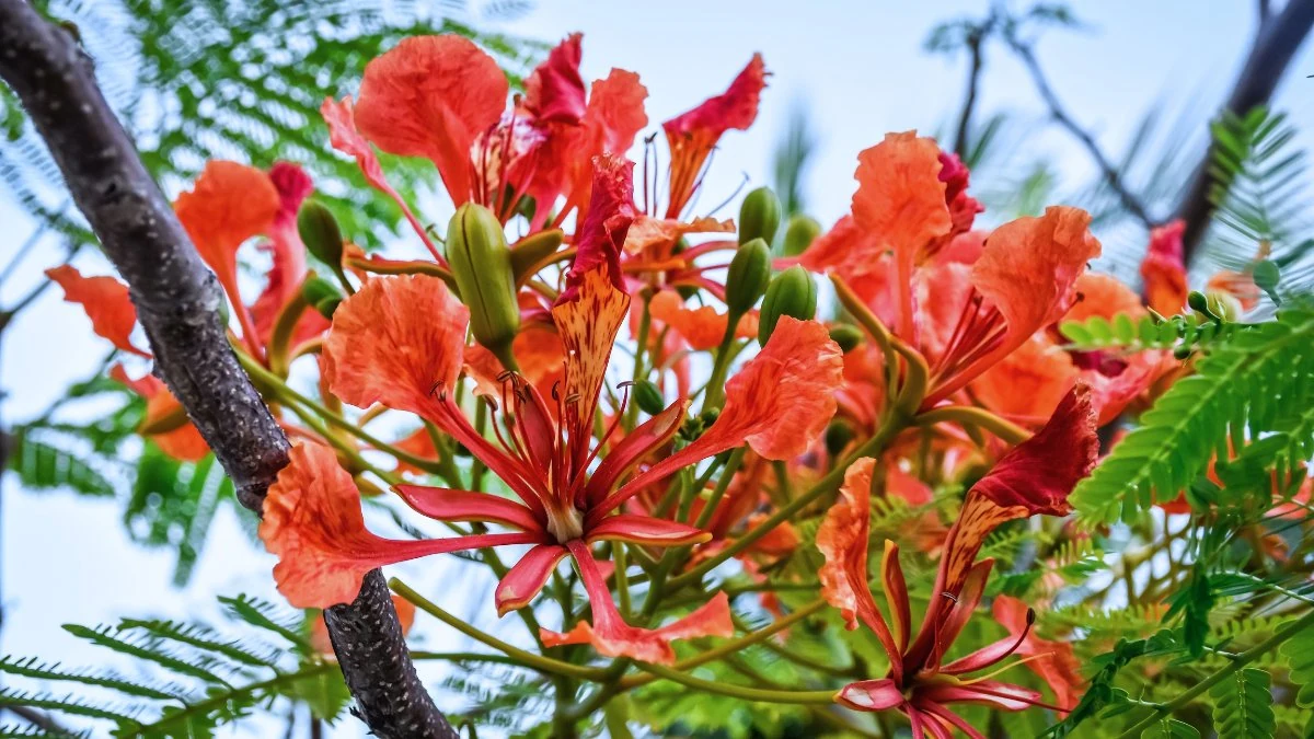 [E-magazin]: Màu của nhớ