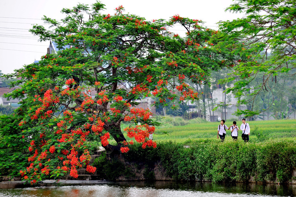 [E-magazin]: Màu của nhớ