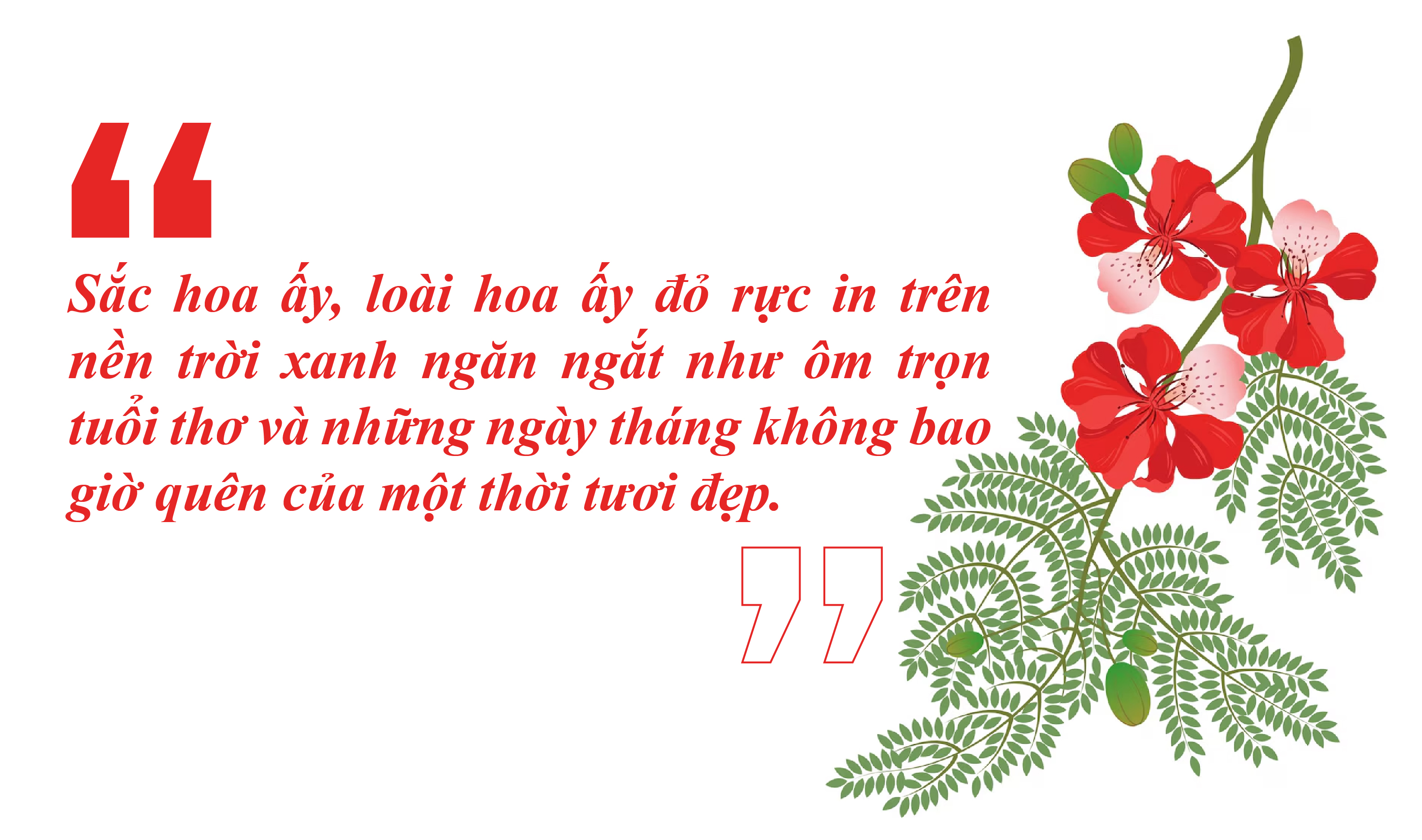 [E-magazin]: Màu của nhớ