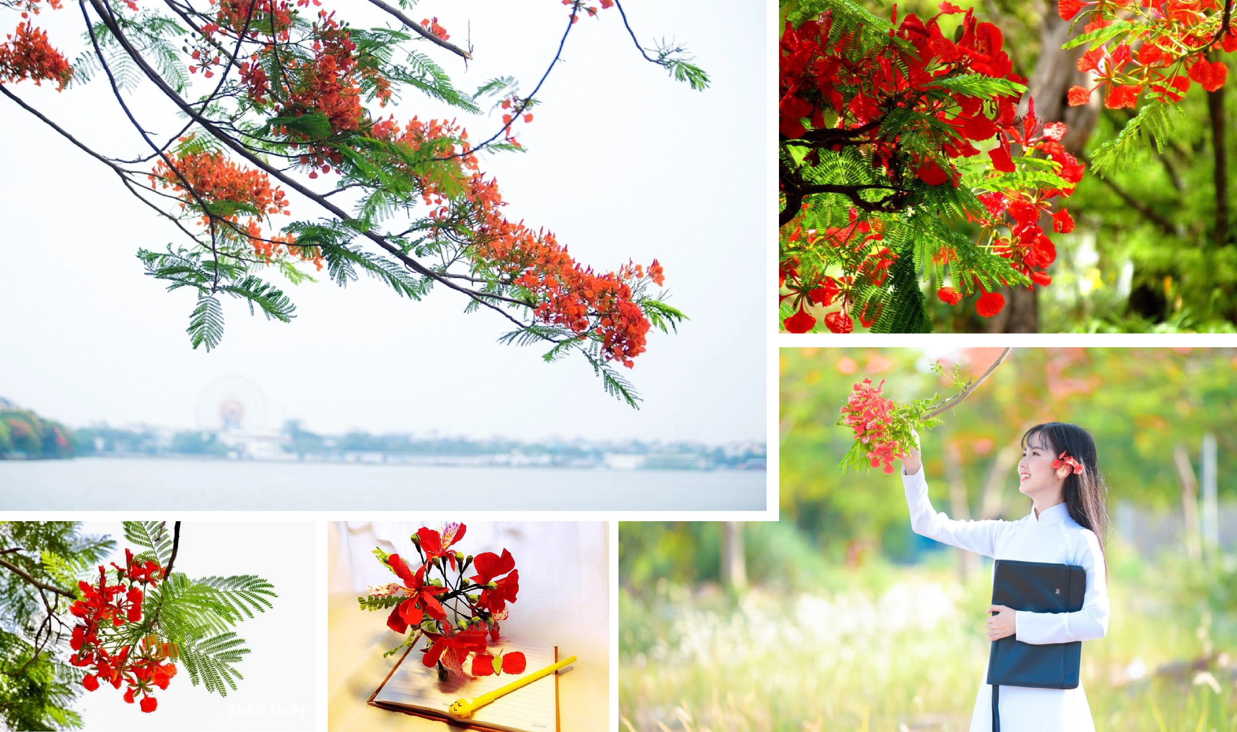 [E-magazin]: Màu của nhớ