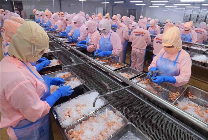 Mỹ công bố kết quả sơ bộ về thuế chống bán phá giá với tôm Việt