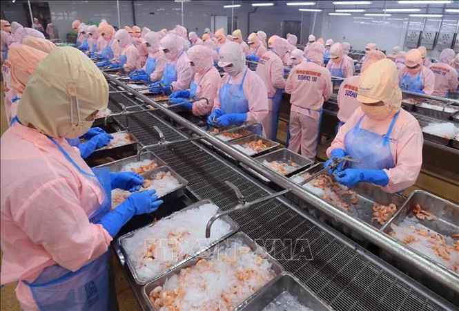 Mỹ công bố kết quả sơ bộ về thuế chống bán phá giá với tôm Việt