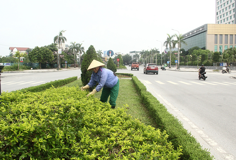 link m88 giữ cho phố phường sạch đẹp, văn minh