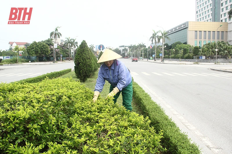 link m88 giữ cho phố phường sạch đẹp, văn minh