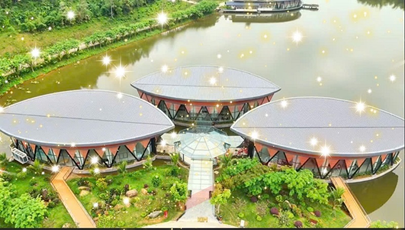 LAMORI vũ khúc hè sôi động