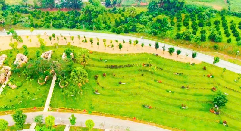 LAMORI vũ khúc hè sôi động