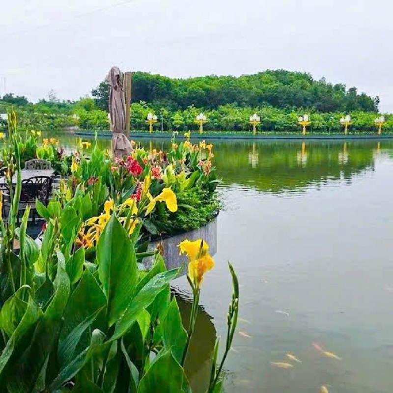 LAMORI vũ khúc hè sôi động