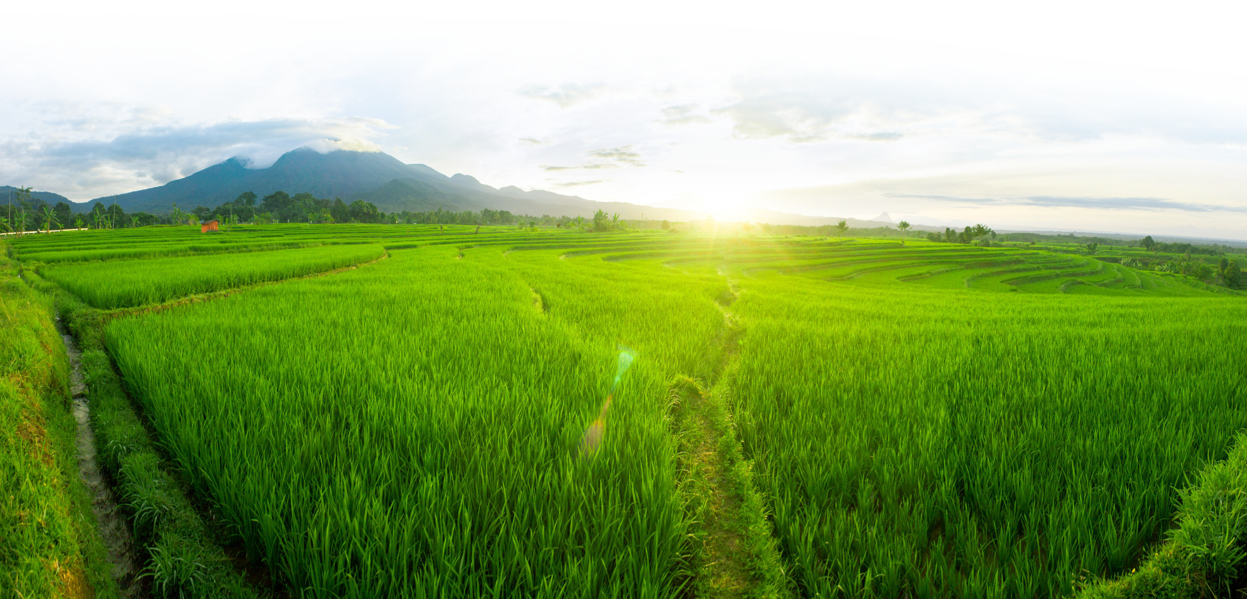 [Emagazin]: Từ ô cửa nhỏ