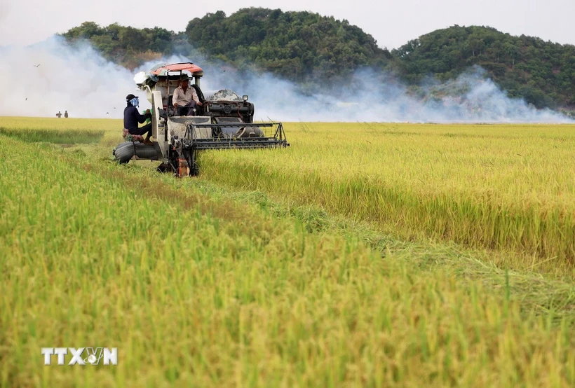 Việt Nam là một trong các nước có khả năng tự chủ lương thực ở mức cao