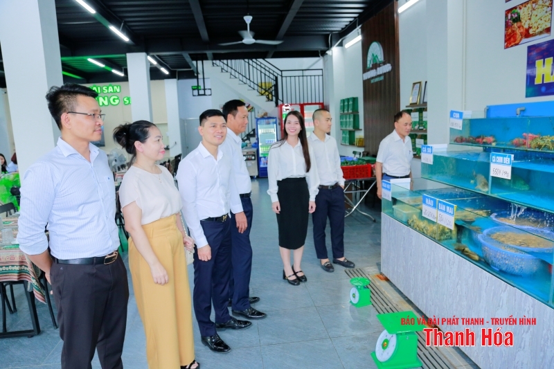 Hiệp hội Doanh nghiệp TP link vào m88 mới nhất kết nối hội viên tháng 6/2025