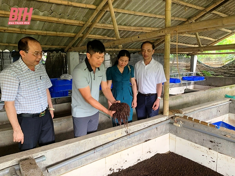 Phát huy vai trò Hội Nông dân trong xây dựng nông thôn mới