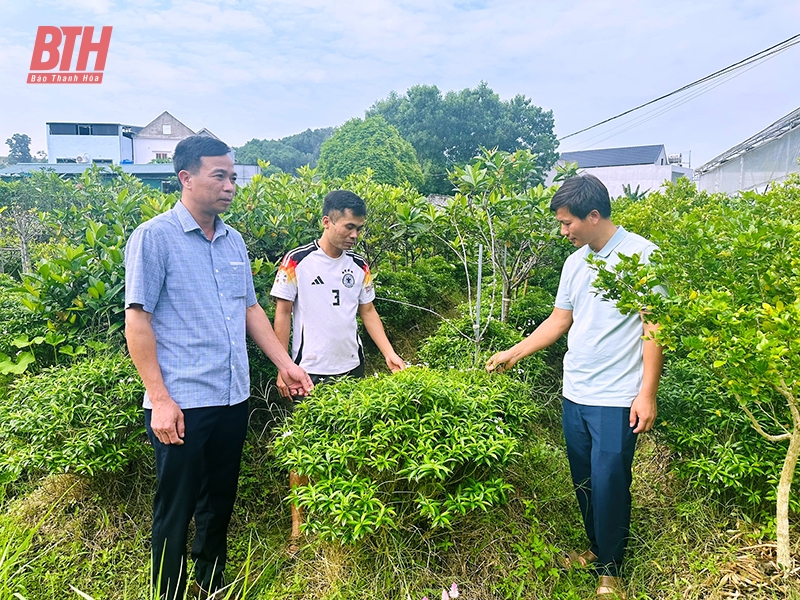 Phát huy vai trò Hội Nông dân trong xây dựng nông thôn mới