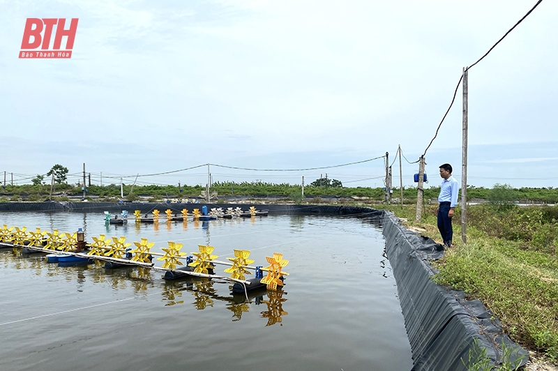 Bảo đảm an toàn trong m88 link mới nhất trồng thủy sản mùa nắng nóng