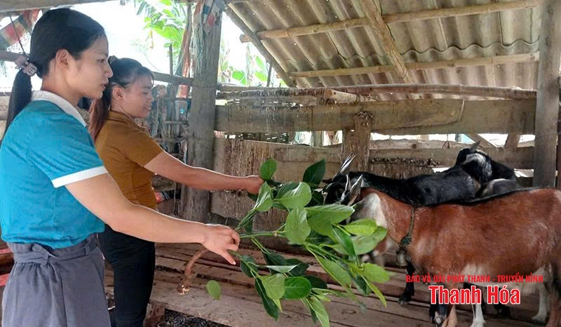 Đồng hành cùng phụ nữ vùng cao phát triển kinh tế
