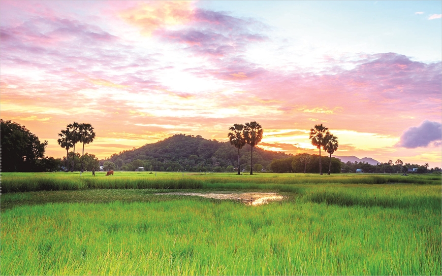 [Emagazine]: Lời ru của đất