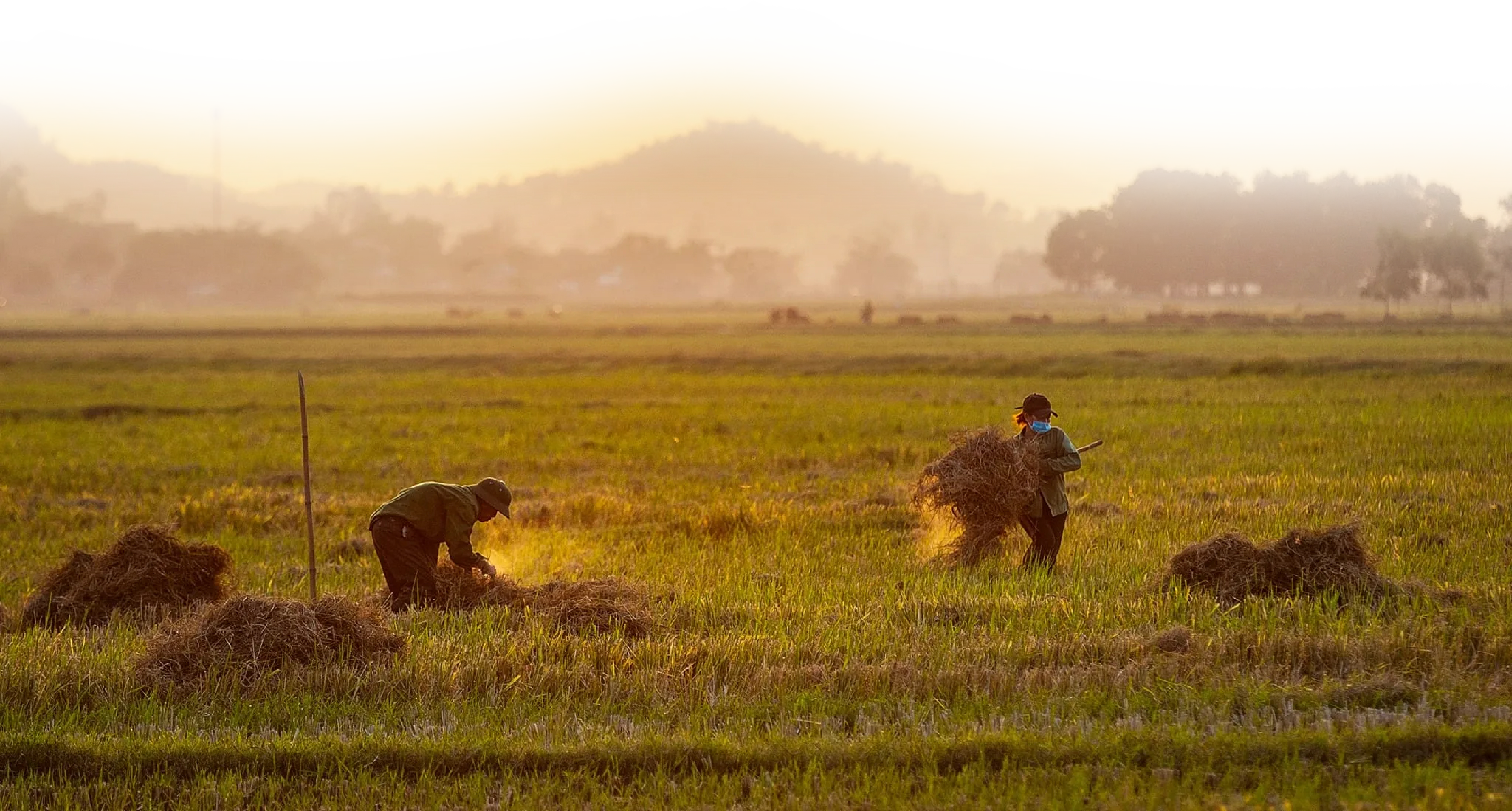 [Emagazine]: Lời ru của đất