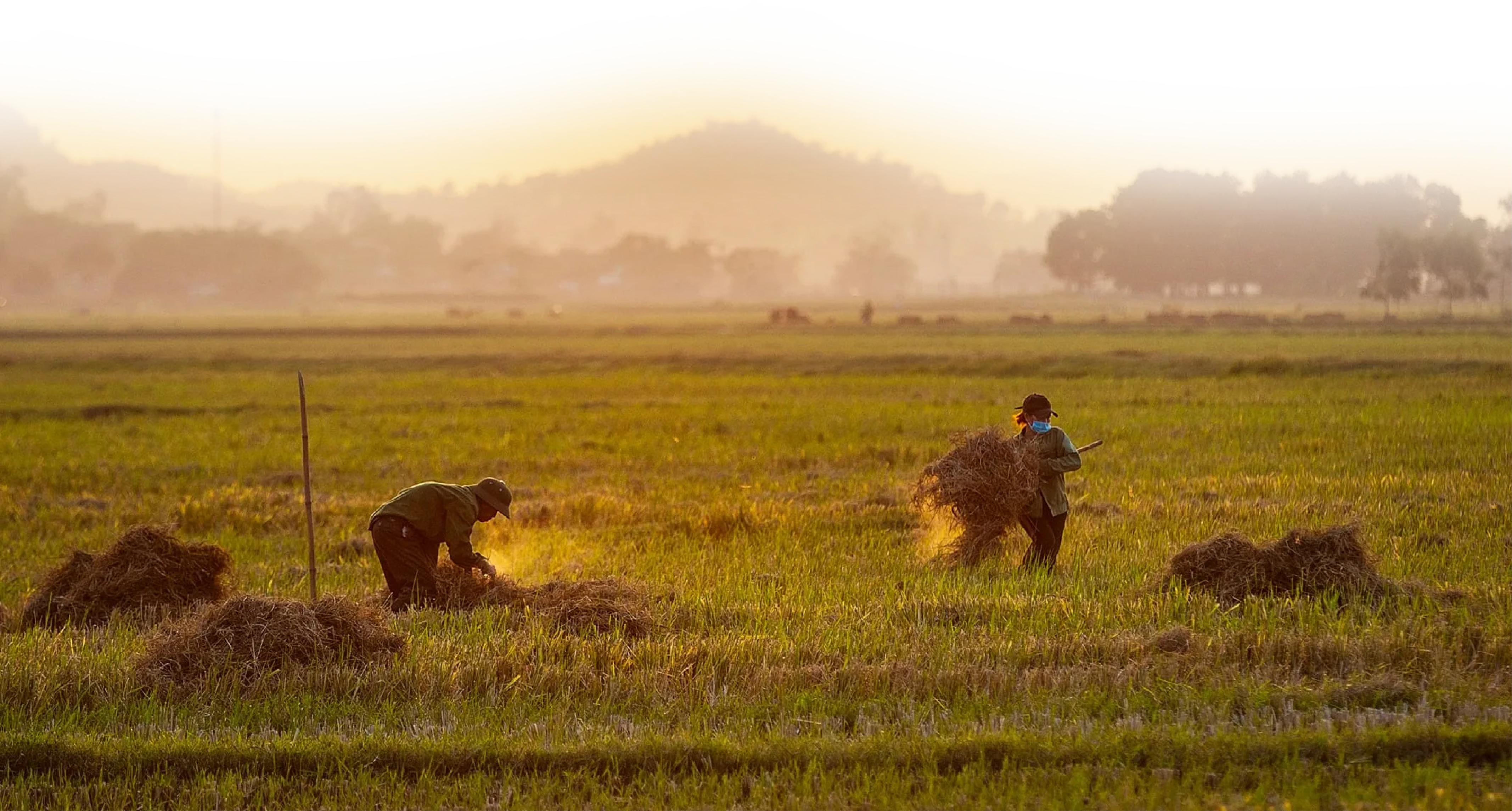 [Emagazine]: Lời ru của đất