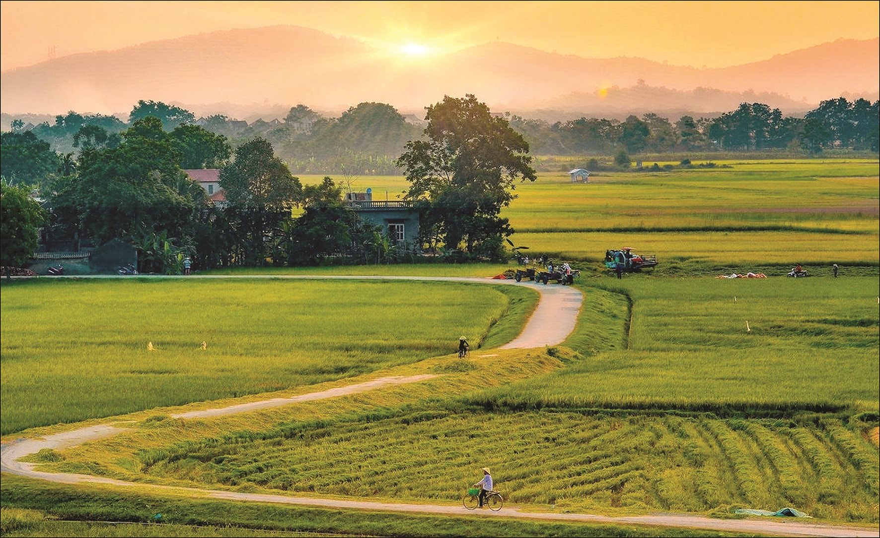 [Emagazine]: Lời ru của đất