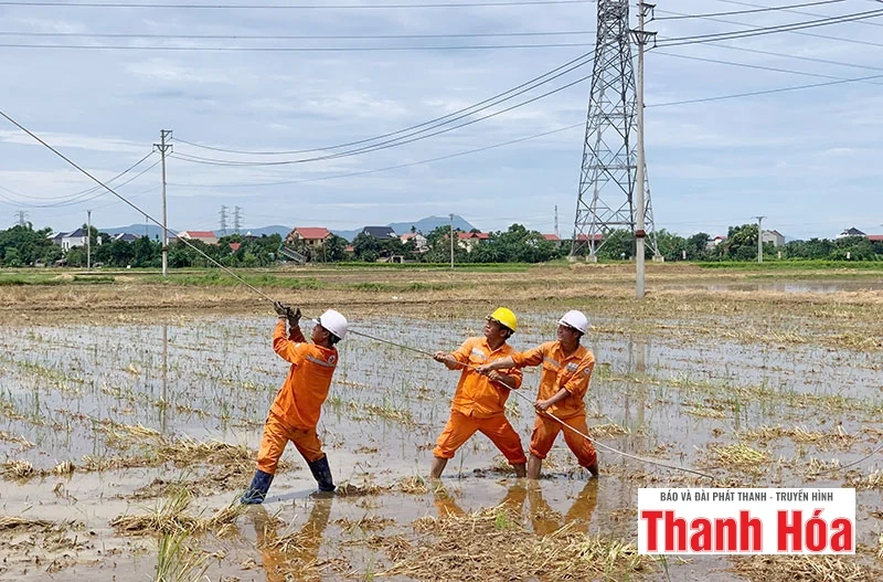 Đã khắc phục hoàn toàn sự cố gãy 19 cột điện do thiên tai