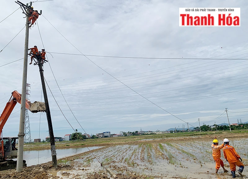 Đã khắc phục hoàn toàn sự cố gãy 19 cột điện do thiên tai