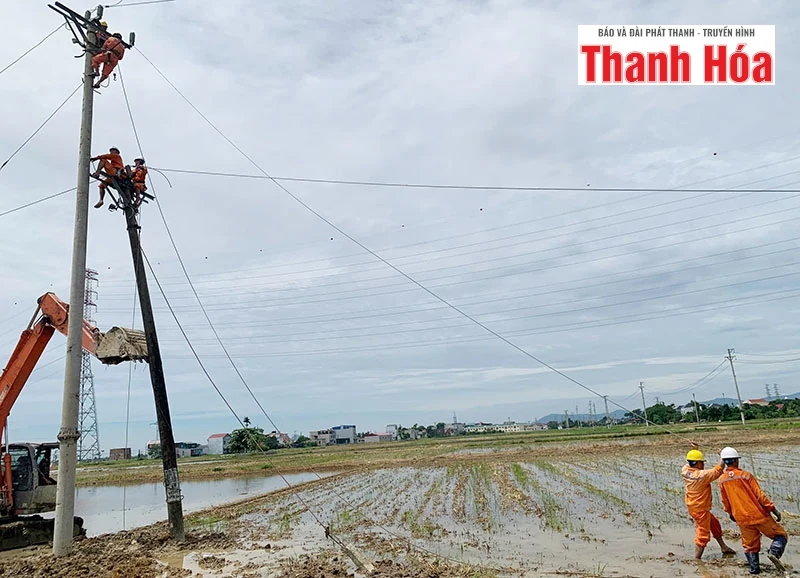Đã khắc phục hoàn toàn sự cố gãy 19 cột điện do thiên tai