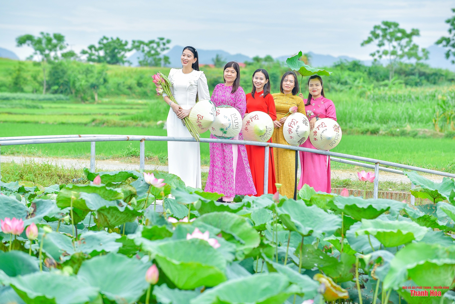 Sắc sen cổ ở toà thành đá hơn 600 tuổi