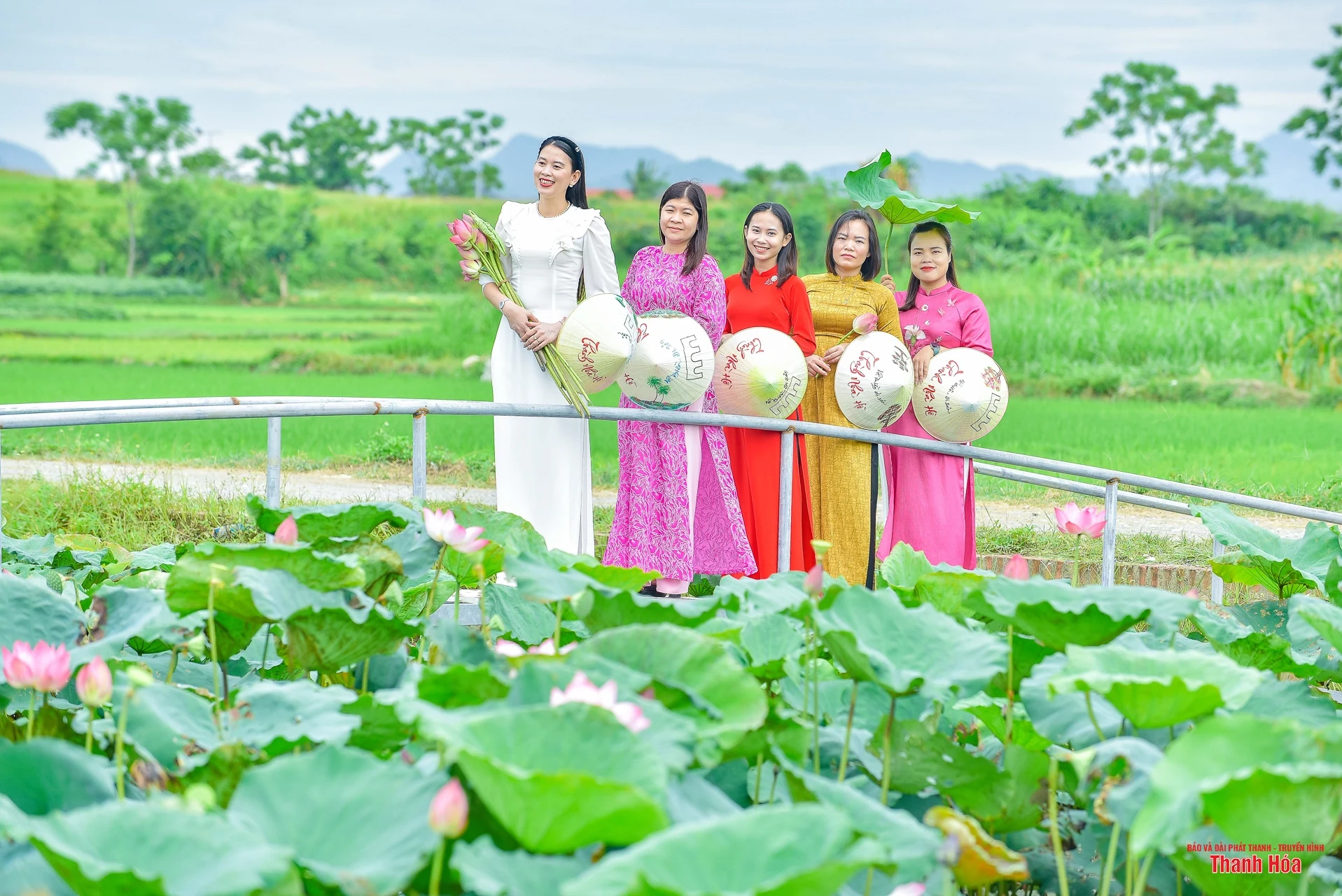 Sắc sen cổ ở toà thành đá hơn 600 tuổi