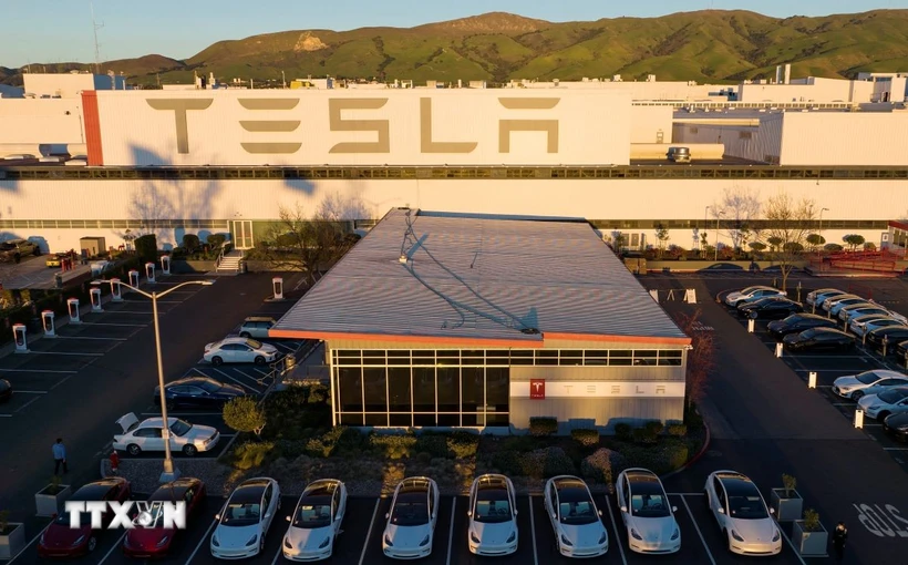 Doanh số Tesla tại châu Âu giảm dù thị trường xe điện phục hồi