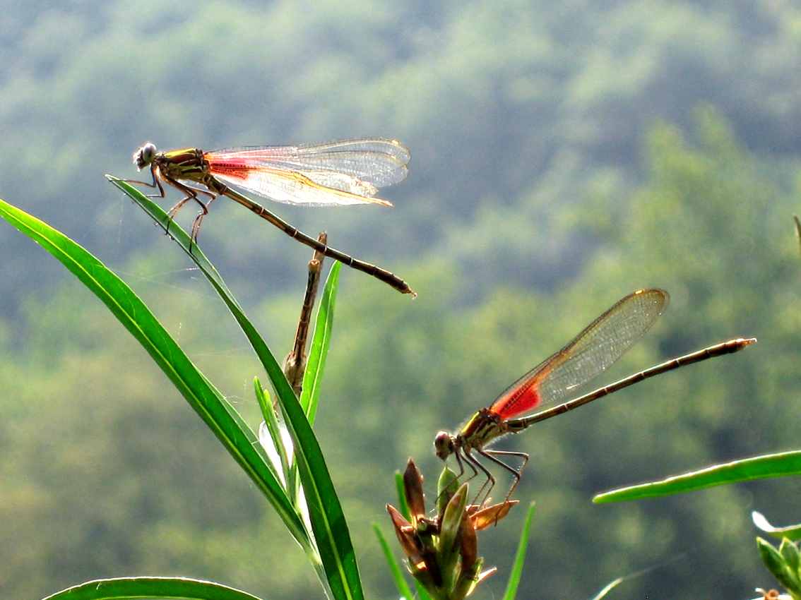[Emagazin]: Những ngày hè trôi