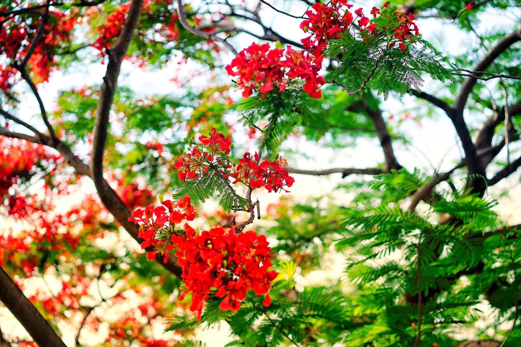 [Emagazin]: Những ngày hè trôi