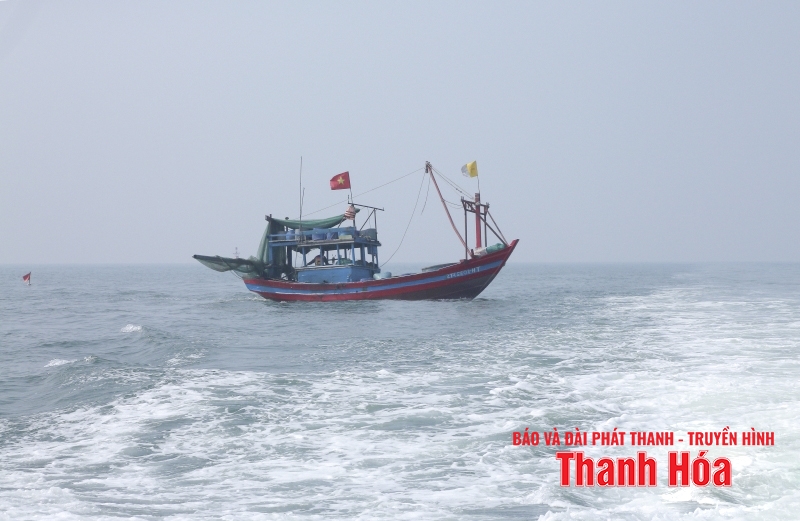 Chủ động ứng phó với áp thấp nhiệt đới và gió mạnh trên biển