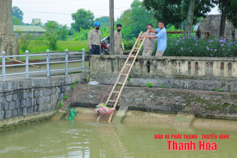 Giám đốc Sở Nông nghiệp và Môi trường kiểm tra tình trạng xác động vật vứt trôi nổi trên kênh
