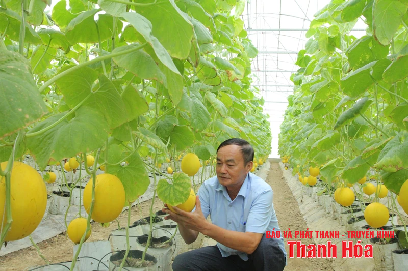 Điểm sáng vao m88 ứng dụng công nghệ cao