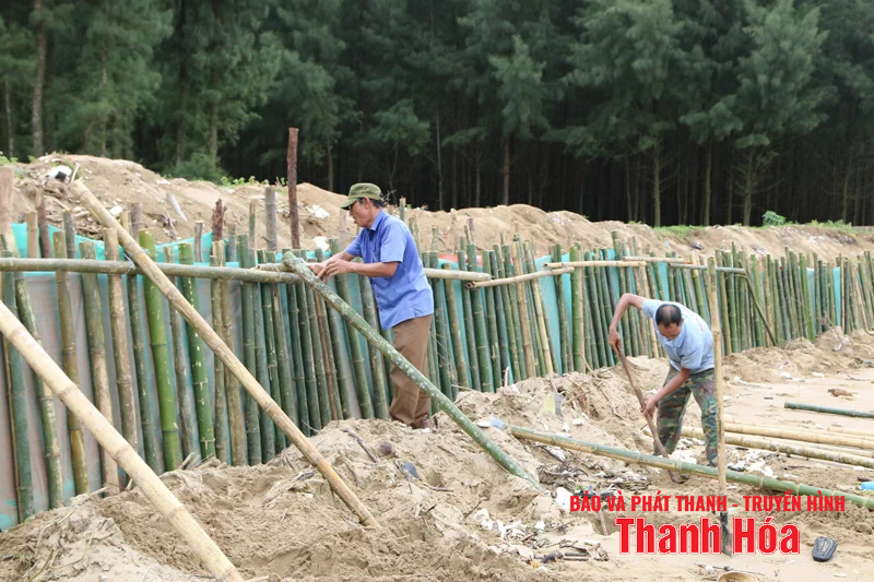 Nâng cao năng m88 link mới nhất phòng thủ dân sự: Những kết quả đáng ghi nhận