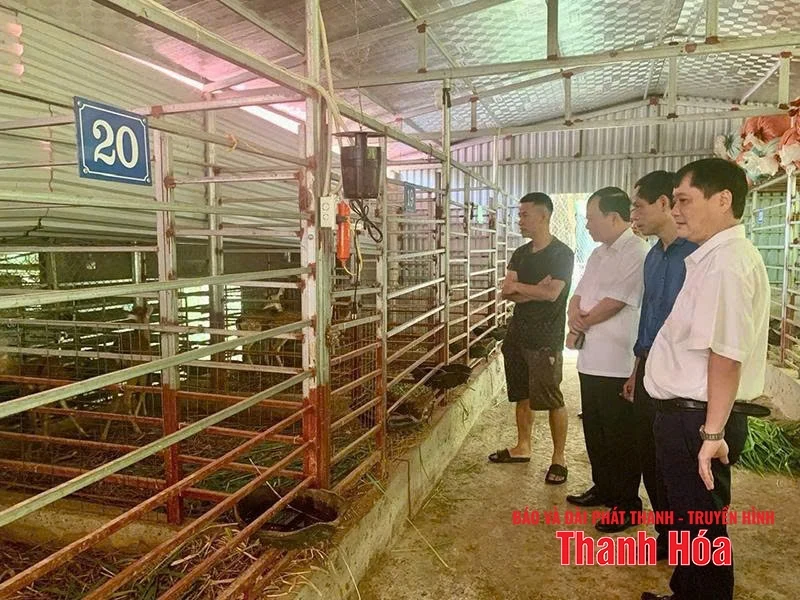 Điểm tựa giúp link m88 vượt khó, làm giàu