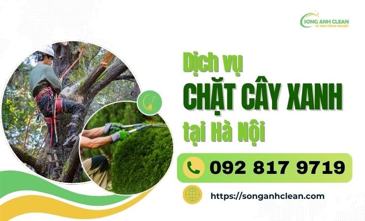 SONGANHCLEAN - Dịch vụ cắt tỉa cây xanh uy tín tại Hà Nội