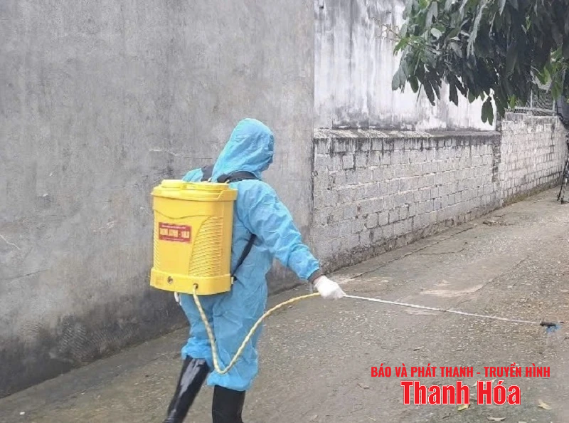 Nguy cơ bùng phát dịch bệnh do xác lợn thả trôi trên các tuyến kênh