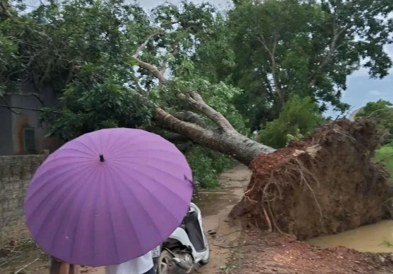 [Cập nhật] - Mưa dông khiến nhiều nhà dân tốc mái, công sở hư hỏng